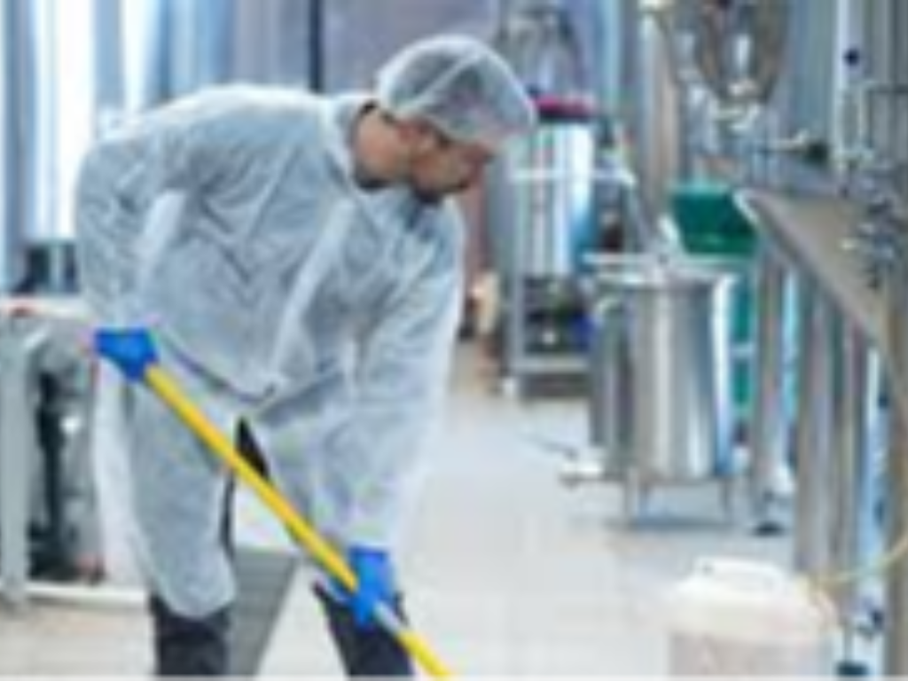 Limpieza en Espacios e Instalacines Industriales - SEAG0209